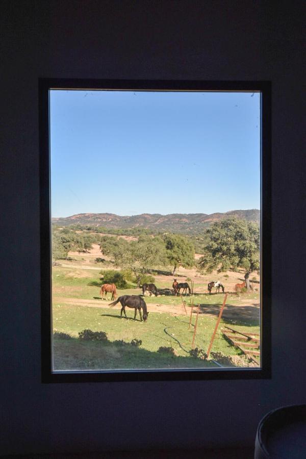 Finca Santa Maria De Las Canadas El Garrobo Kültér fotó