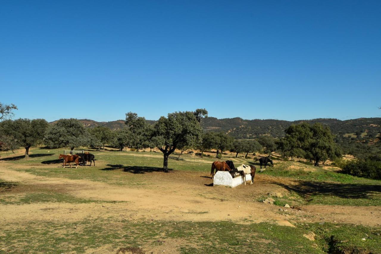 Finca Santa Maria De Las Canadas El Garrobo Kültér fotó
